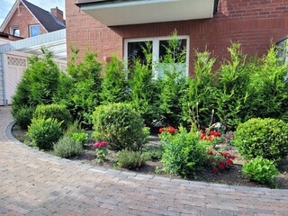 Blick auf die Terrasse 1, Geertjech a