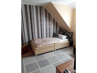 Wohnzimmer (umgebaute Couch als Bett)