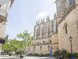 Villa Manacor Environment 28