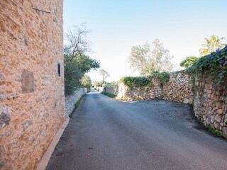 Villa Santanyi Ambiente 17