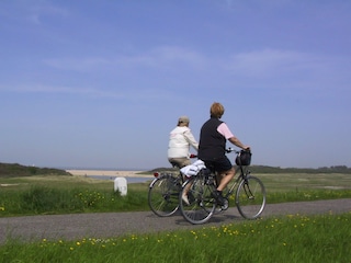 Appartamento per vacanze Nieuwvliet Ambiente 16