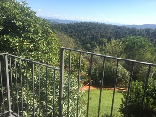 Aussicht von Wohnung C und D