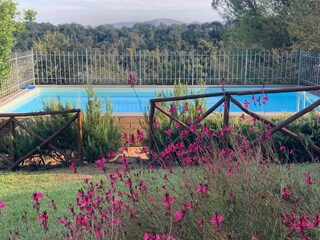 Appartamento per vacanze Ravi Piscina 27