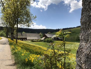 Ferienwohnung Sonnenschein auf dem Bio-Lippenhof