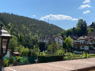 Blick von der Terrasse