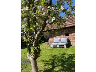 Holiday house Pfälzerwald Outdoor Recording 2