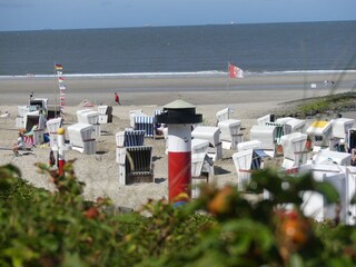 View of the beach