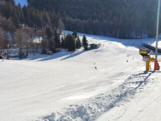 Appartamento per vacanze Schardenberg Documento 24