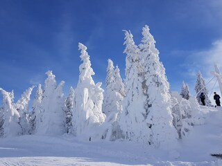 Appartamento per vacanze Schardenberg Documento 25