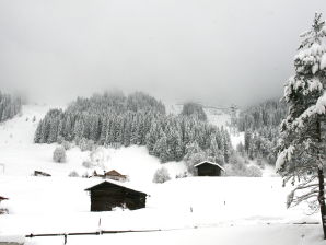 Apartment de Bruijn - Mittelberg - image1