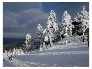 Ferienwohnung Braunlage Umgebung 24