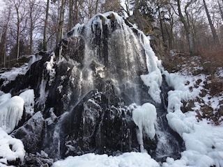 Ferienwohnung Braunlage Umgebung 25