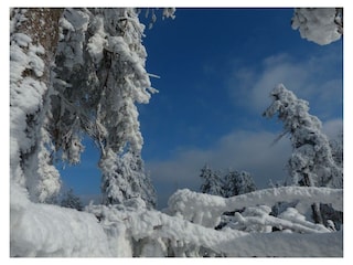 Ferienwohnung Braunlage Umgebung 27