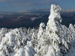 Ferienwohnung Braunlage Umgebung 29