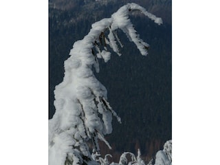 Ferienwohnung Braunlage Umgebung 30