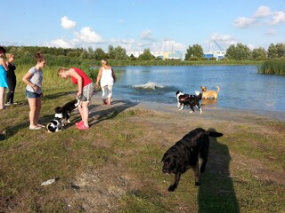 Chalet Makkum Ambiente 22