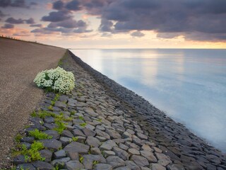 Waddensee auf Texel