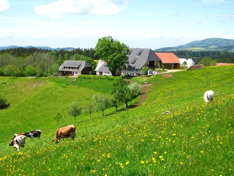 Ferienwohnung 2 auf dem Brosihof