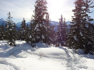 Alpine hut Hippach Environment 33