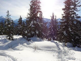 Refugio alpino Hippach Entorno 33