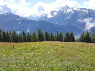 Refugio alpino Hippach Plano de planta 36