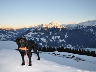 Alpenhut Hippach Document 37