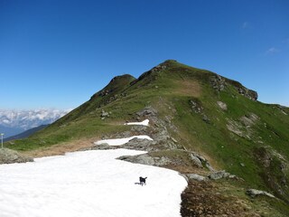 Alpenhut Hippach Document 39