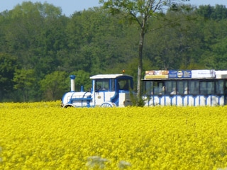 Mit der Bimmelbahn durch die Marsch!