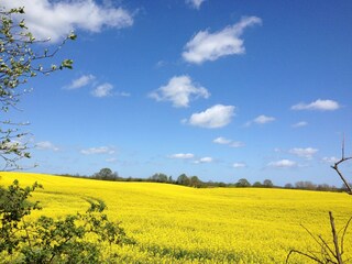 Frühling auf Schwansen; z.B. Fahrradtouren