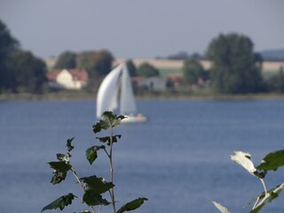 Die Schlei an unserer Halbinsel Schwansen