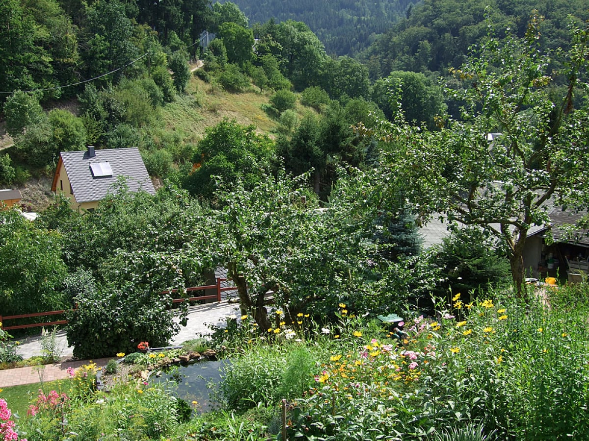 Blick vom Ferienhaus