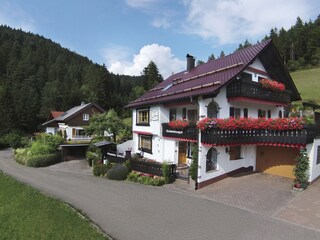 Ferienhaus Schenk - komf. Fe Wo