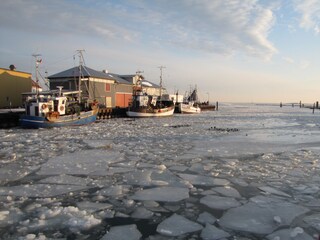 Hafen Burgstaaken im Winter