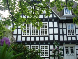 Haus