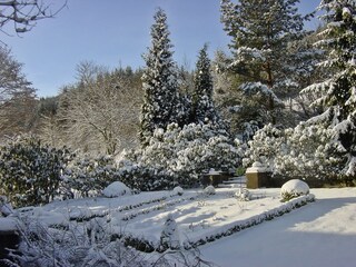 Winter im Garten