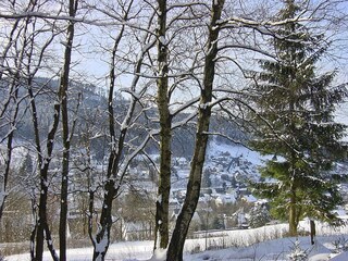 Silbach im Winter