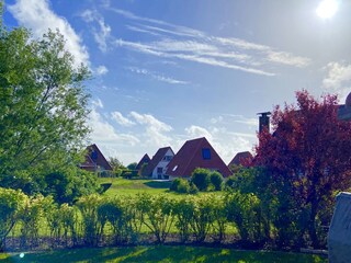 Casa de vacaciones Dorum-Neufeld Grabación al aire libre 4