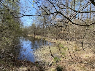 Landschaft beim Dorumer Moor