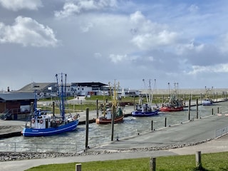 Am Kutterhafen