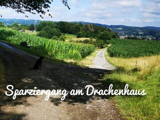 Apartamento de vacaciones Rimbach im Odenwald Grabación al aire libre 10