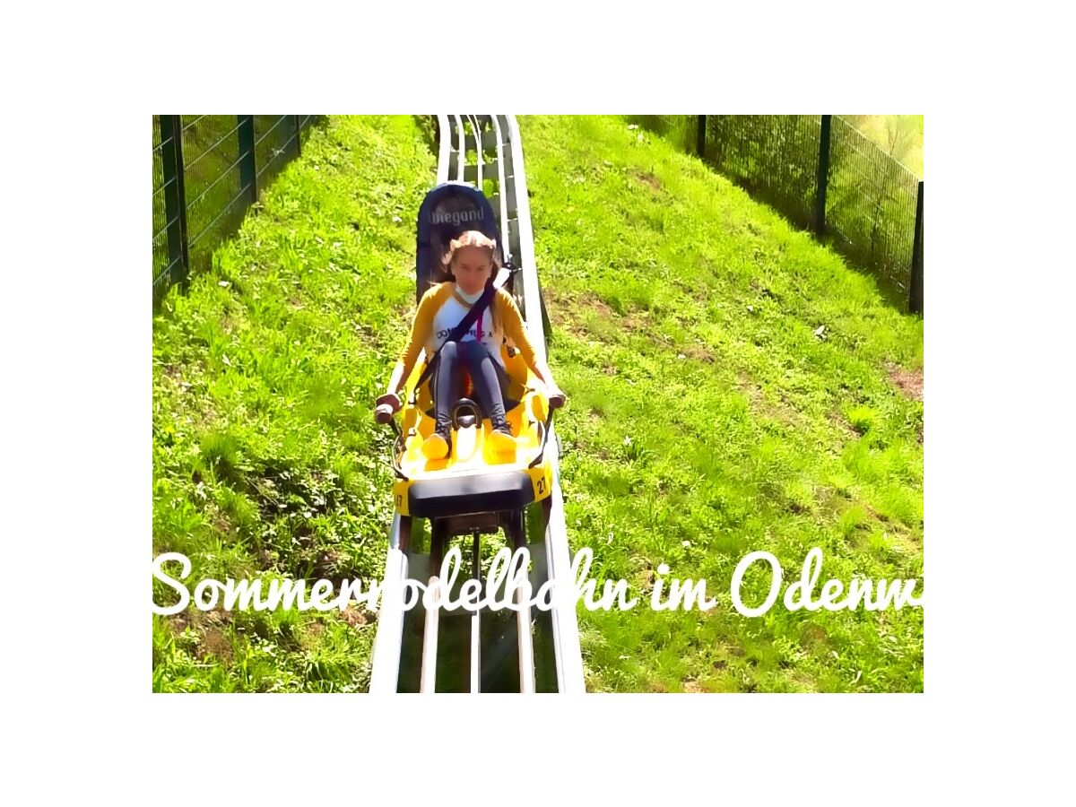 Sommerrodelbahn und Kletterwald