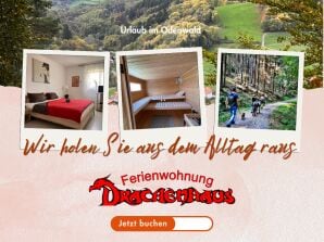 Holiday apartment Drachenhaus - Rimbach in Odenwald - image1