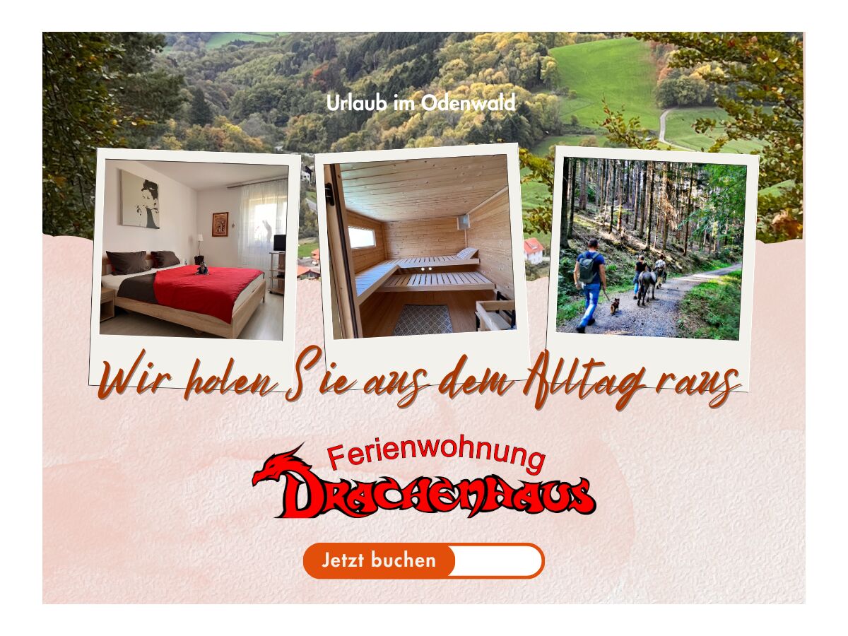 Holiday apartment Rimbach im Odenwald Outdoor Recording 1
