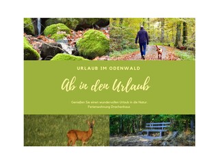 Apartamento de vacaciones Rimbach im Odenwald Grabación al aire libre 2