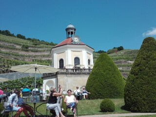 Sonntagskonzert  Weingut Wackerbarth