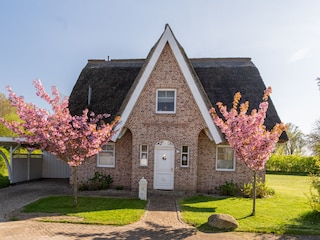 Ferienhaus MeerFerien