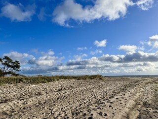 Naturstrand Palmer Ort