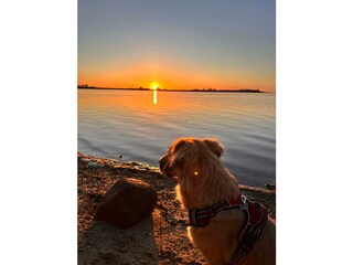 Sonnenuntergang am kleinen Naturstrand