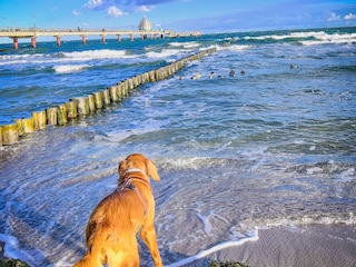 Ostsee geht immer...