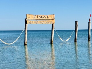 ca. 8 Kilometer bis Zingst